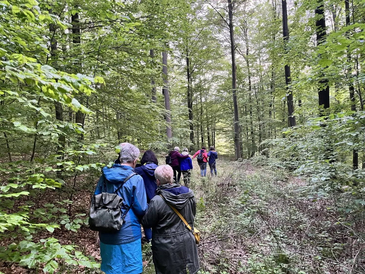 cleverground - Berit Kachnar, Menschen im Wald