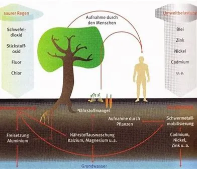 clevergesund - Berit Kacner, Diagramm zur Erläuterung von SCHWERMETALLEN – GIFTIGEN ELEMENTEN UND IHREN AUSWIRKUNGEN