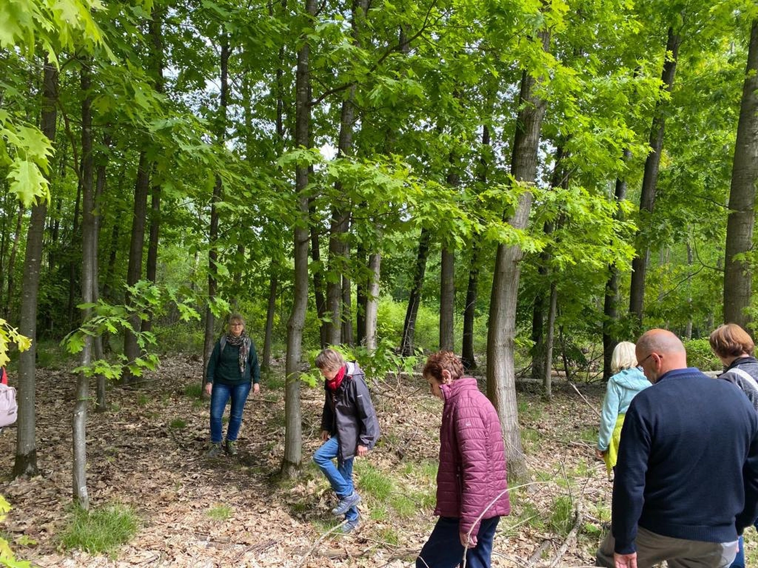 clevergesund – Berit Kacner, Menschen im Wald für Achtsamkeit